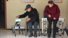 经常自动问我们需要什么帮