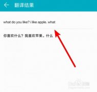 样不只能让国际化的市场推广愈加精准